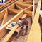 Изображение для СМИ